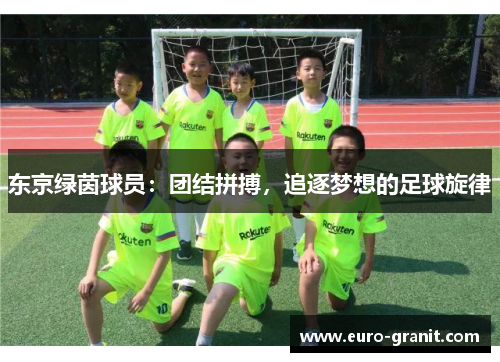 东京绿茵球员：团结拼搏，追逐梦想的足球旋律