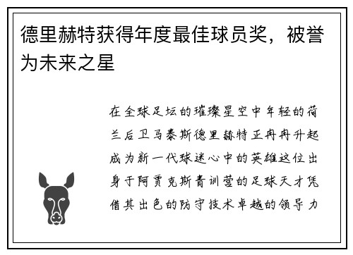 德里赫特获得年度最佳球员奖，被誉为未来之星